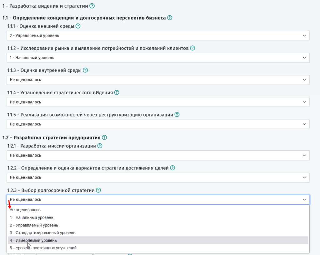 Оценка зрелости направлений/функций организации по классификатору